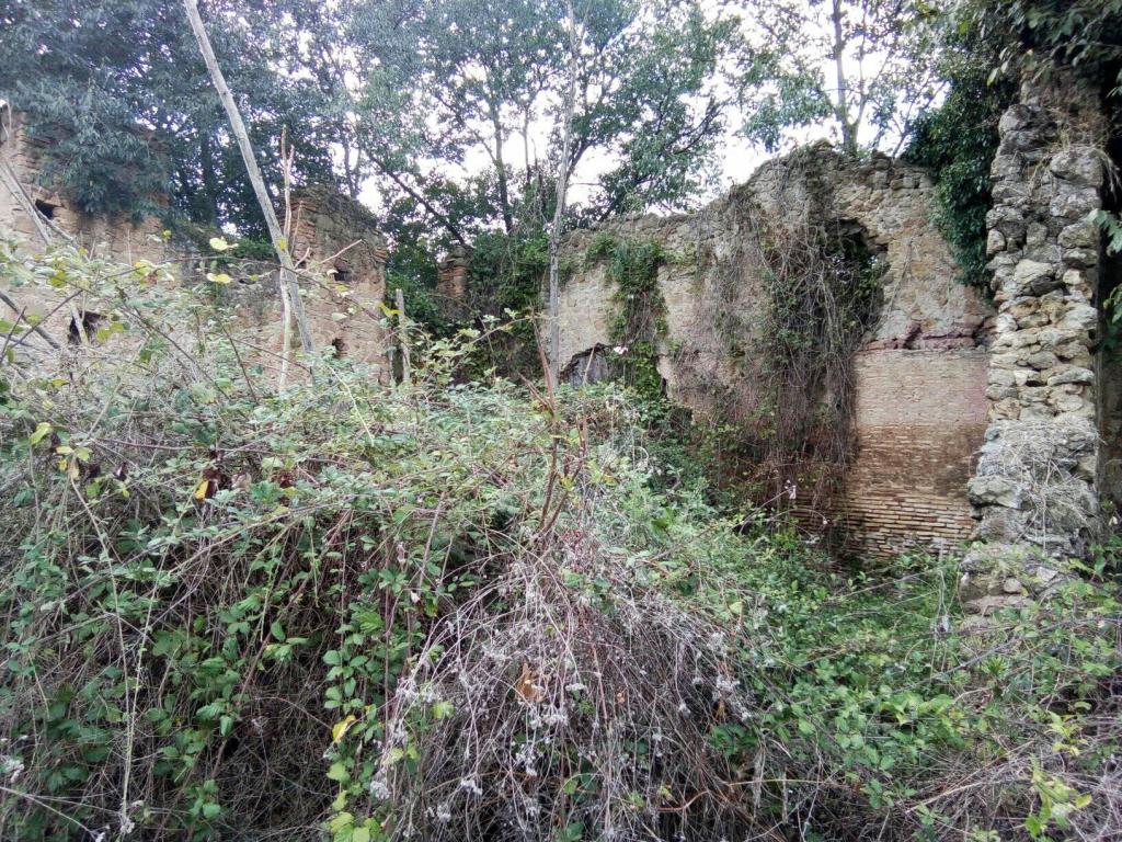 castello greppe mentana