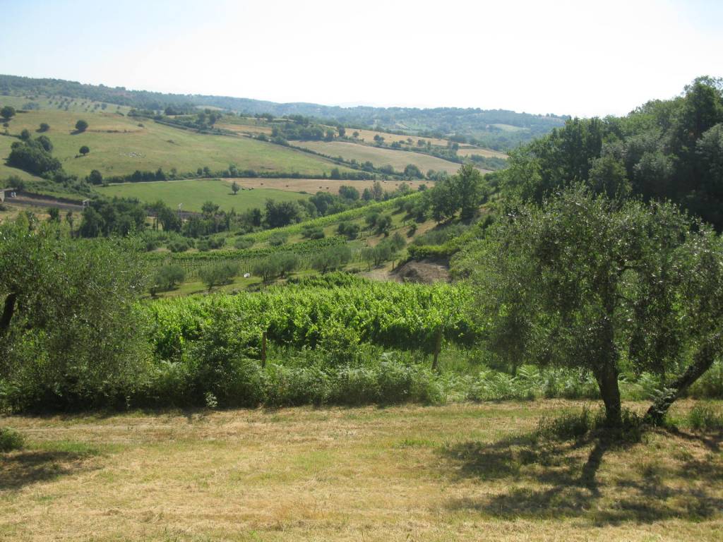 colle del castellaccio capena