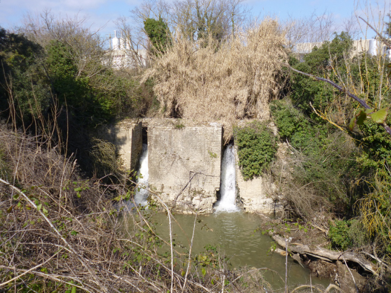 mola saracena capena roma