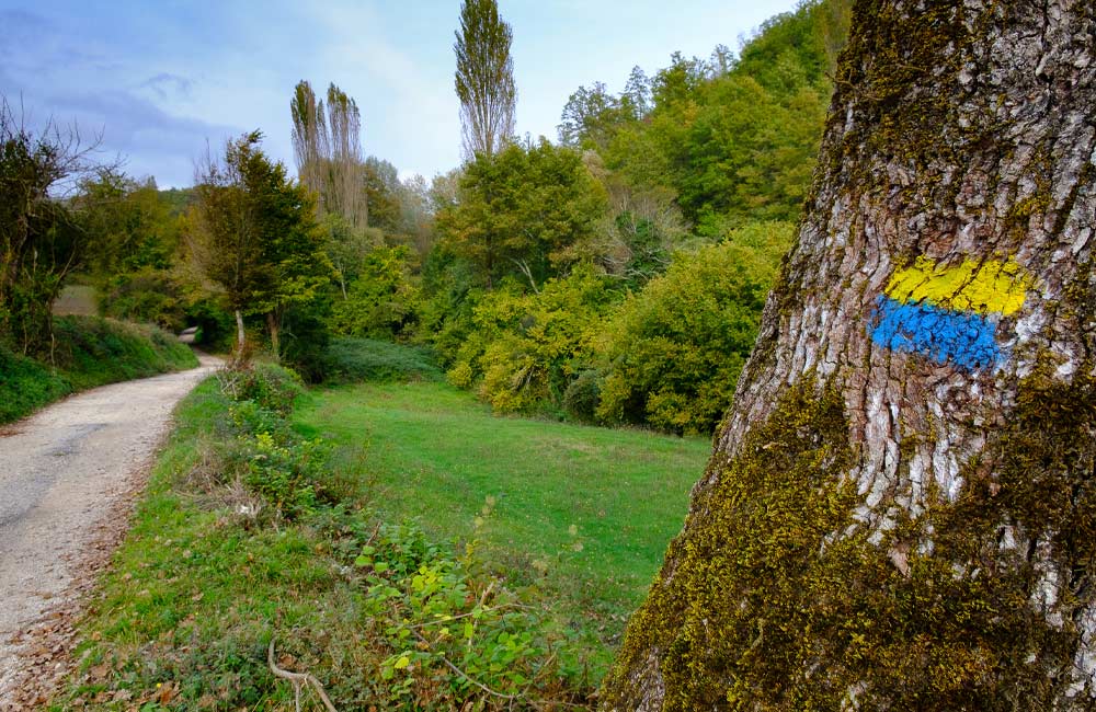Via di Francesco nel Lazio