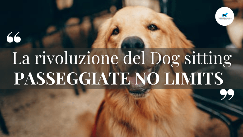 Dog sitter a Roma nord passeggiate illimitate passeggiando-g