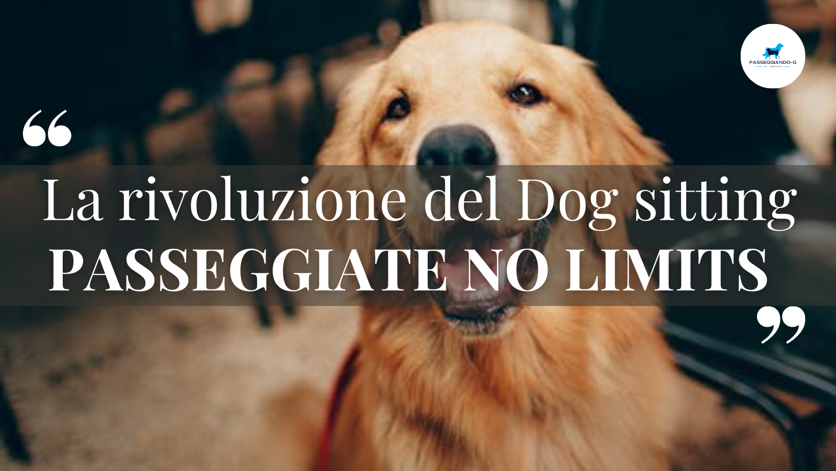 Dog sitter a Roma nord passeggiate illimitate passeggiando-g