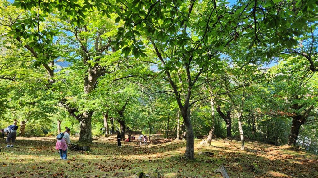 FORESTA E SENTIERI CANISTRO L'ACQUILA WEEKEND ROMANTICO VICINO ROMA CASCATE