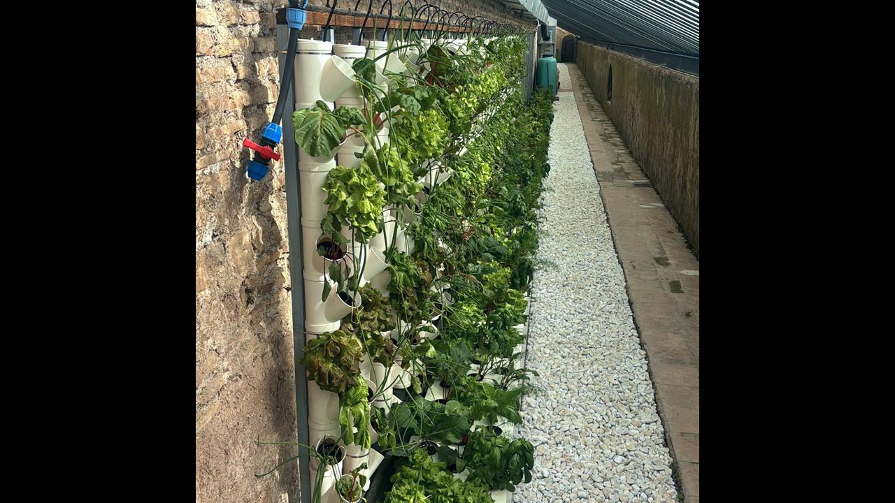 Roma: nuova vita alle serre di Villa Pamphili