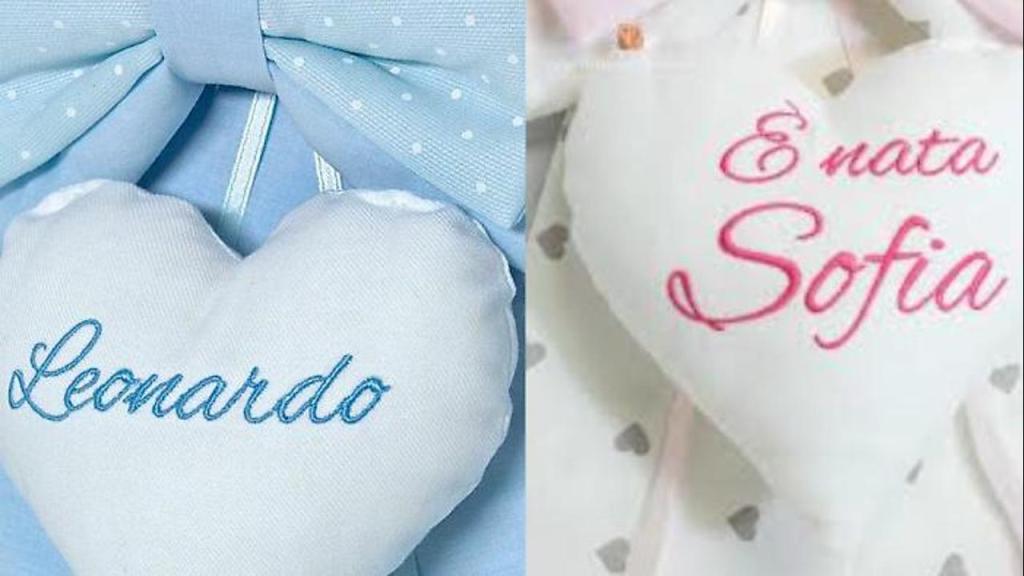 Leonardo e Sofia i nomi più scelti per i nuovi nati