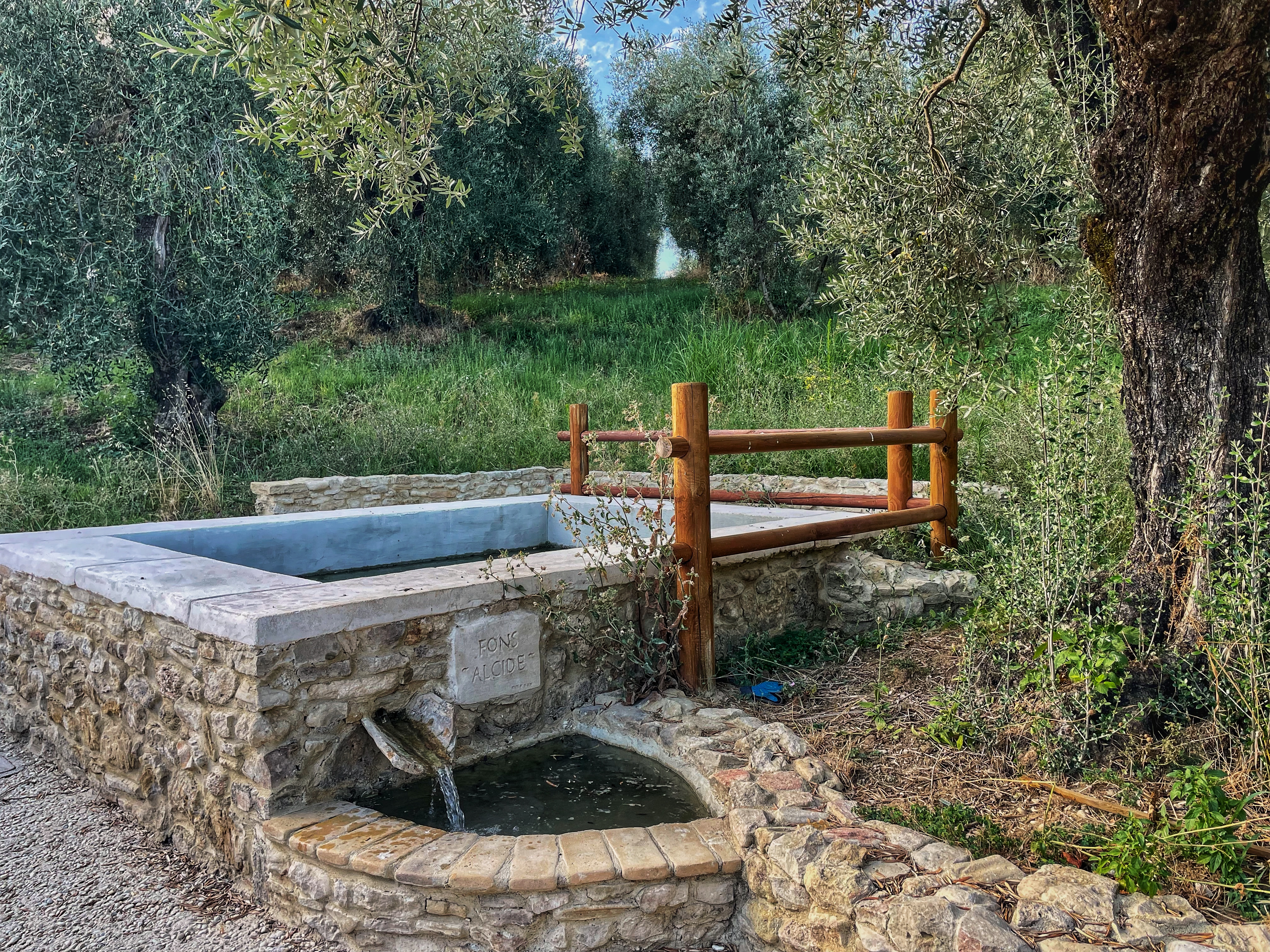 Corese Terra: alla scoperta di Cures Sabini tra fontanili e ulivi secolari