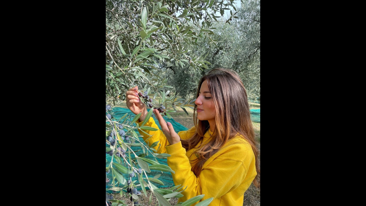 Olio Sabina DOP: certificazioni più rapide con la Sala Panel