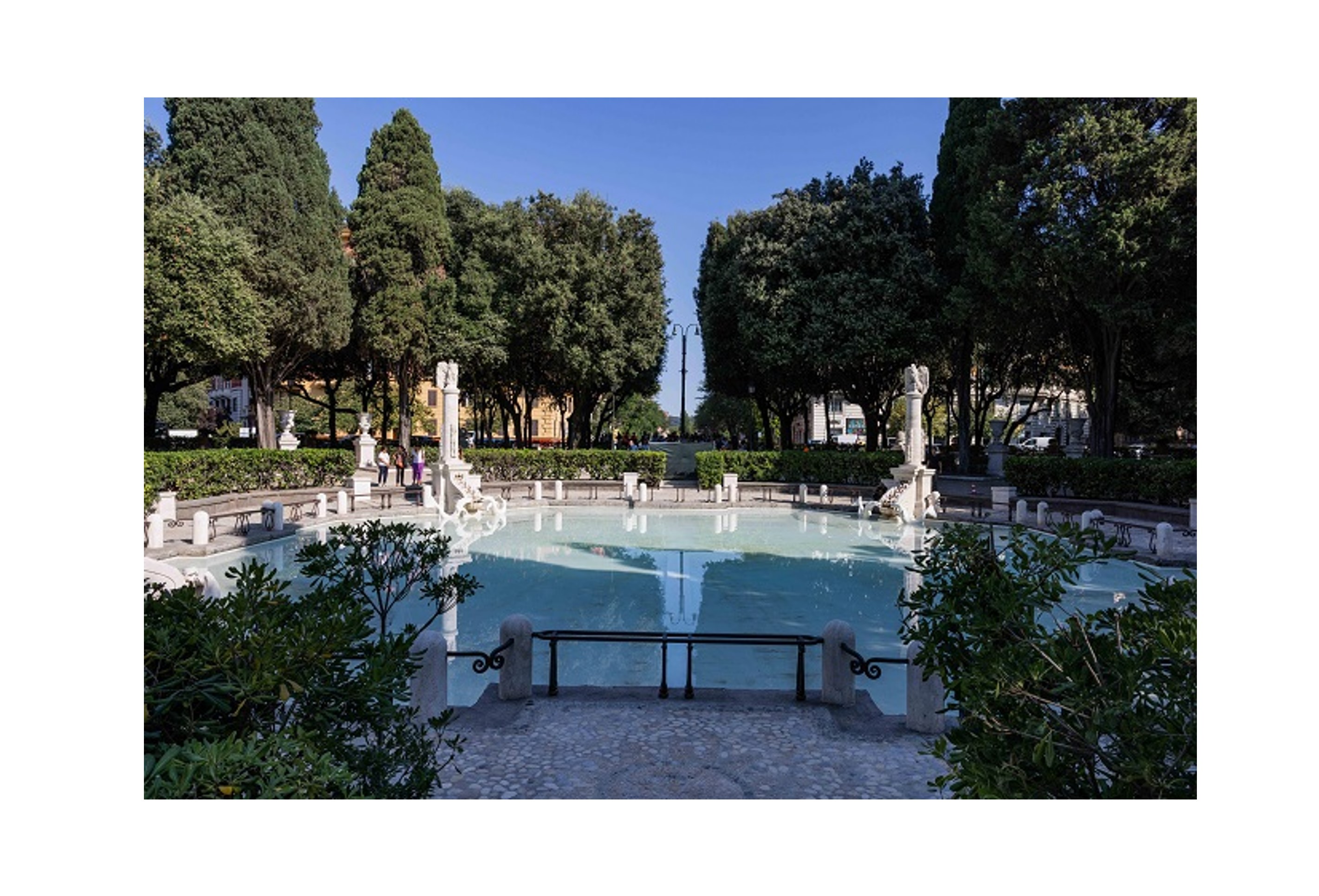 Riqualificazione alberi a Piazza Mazzini