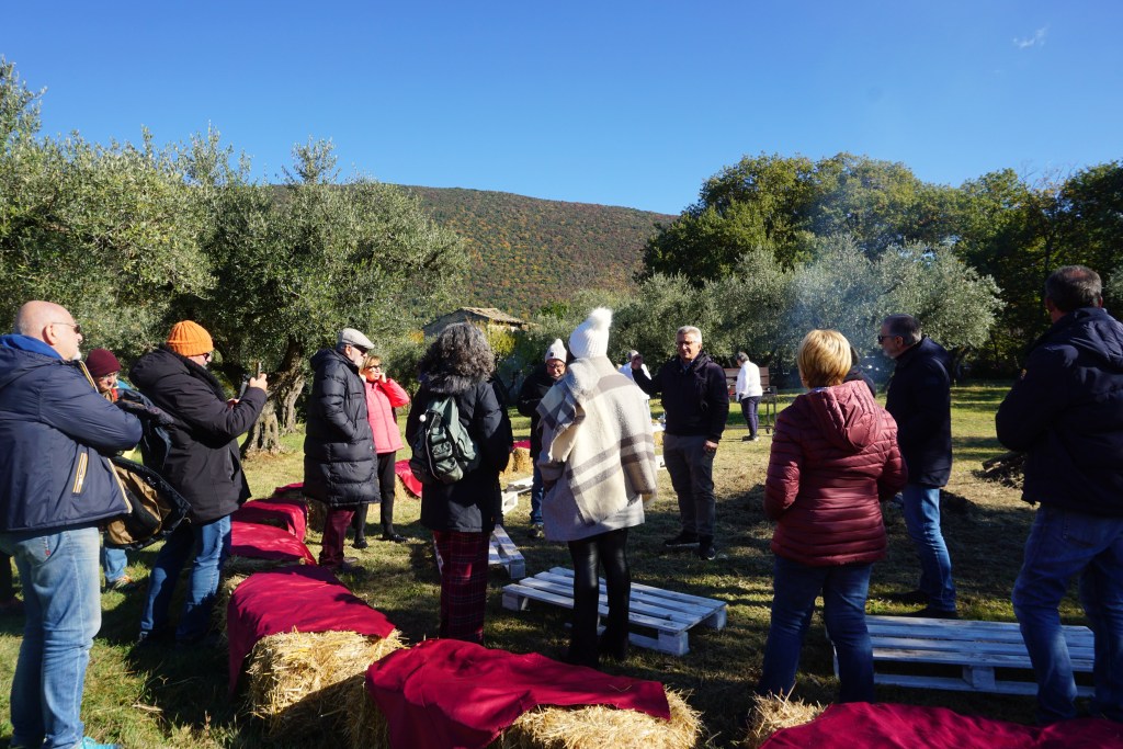 Oleoturismo in Sabina tra ulivi, degustazioni e cultura rurale