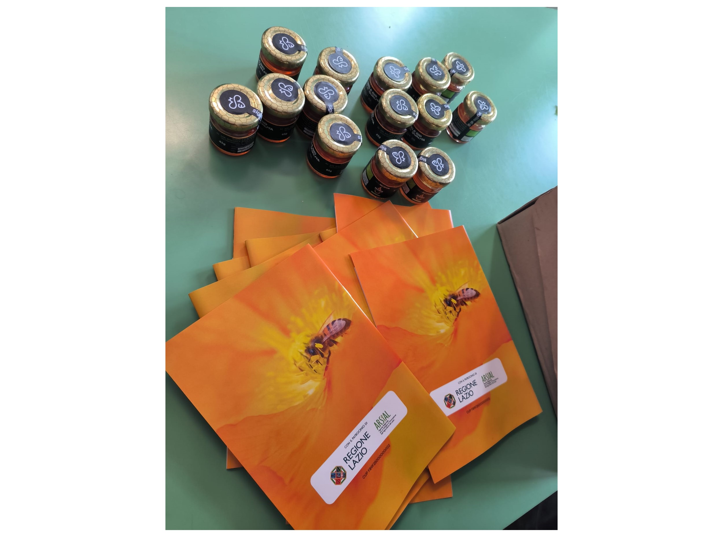 Apicoltura a scuola: il progetto ARSIAL per gli studenti di Bellegra