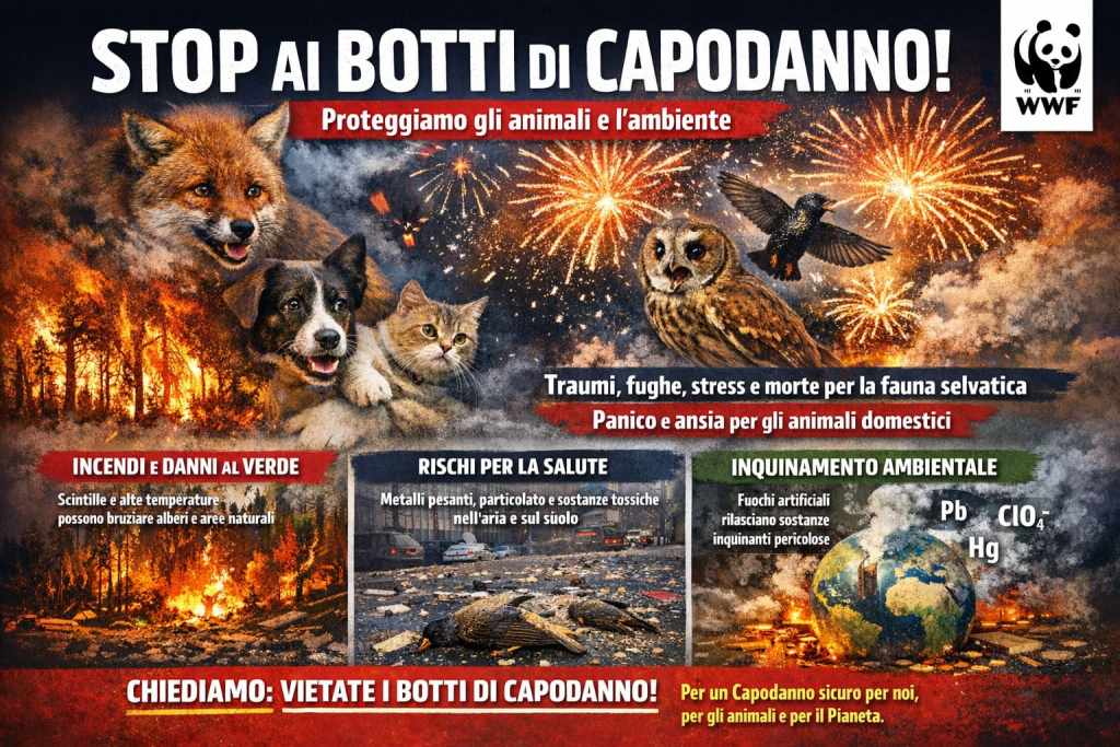 Wwf: “Stop a botti e fuochi d’artificio a Capodanno”