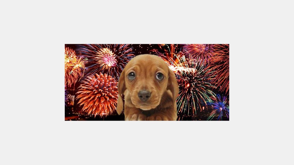 Capodanno sicuro a Mentana: vietati botti e petardi