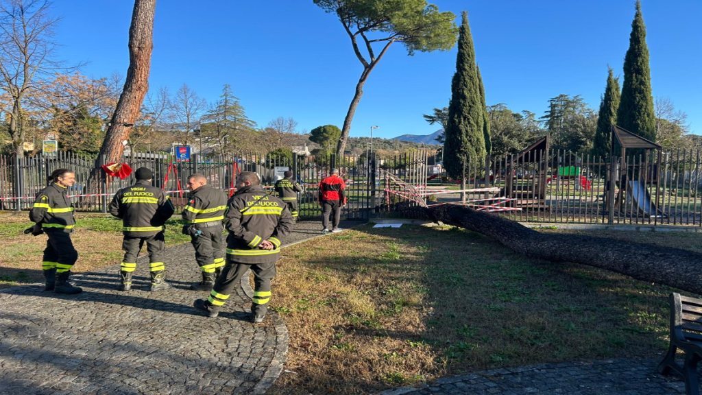 Crolla un pino nella pinetina di Guidonia: parco Anna Bertucci chiuso per verifiche