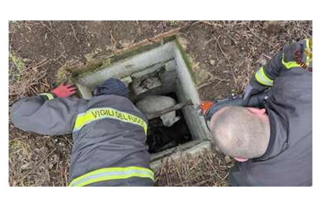 Capena: vigili del fuoco salvano un cane caduto in una fossa
