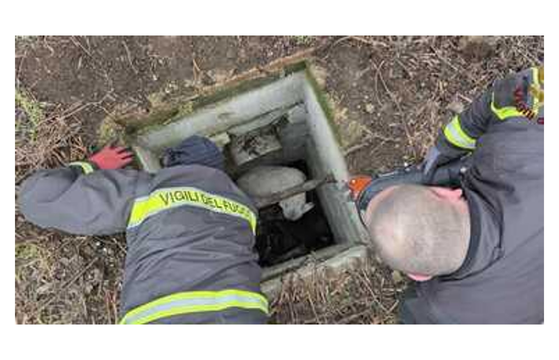 Capena: vigili del fuoco salvano un cane caduto in una fossa