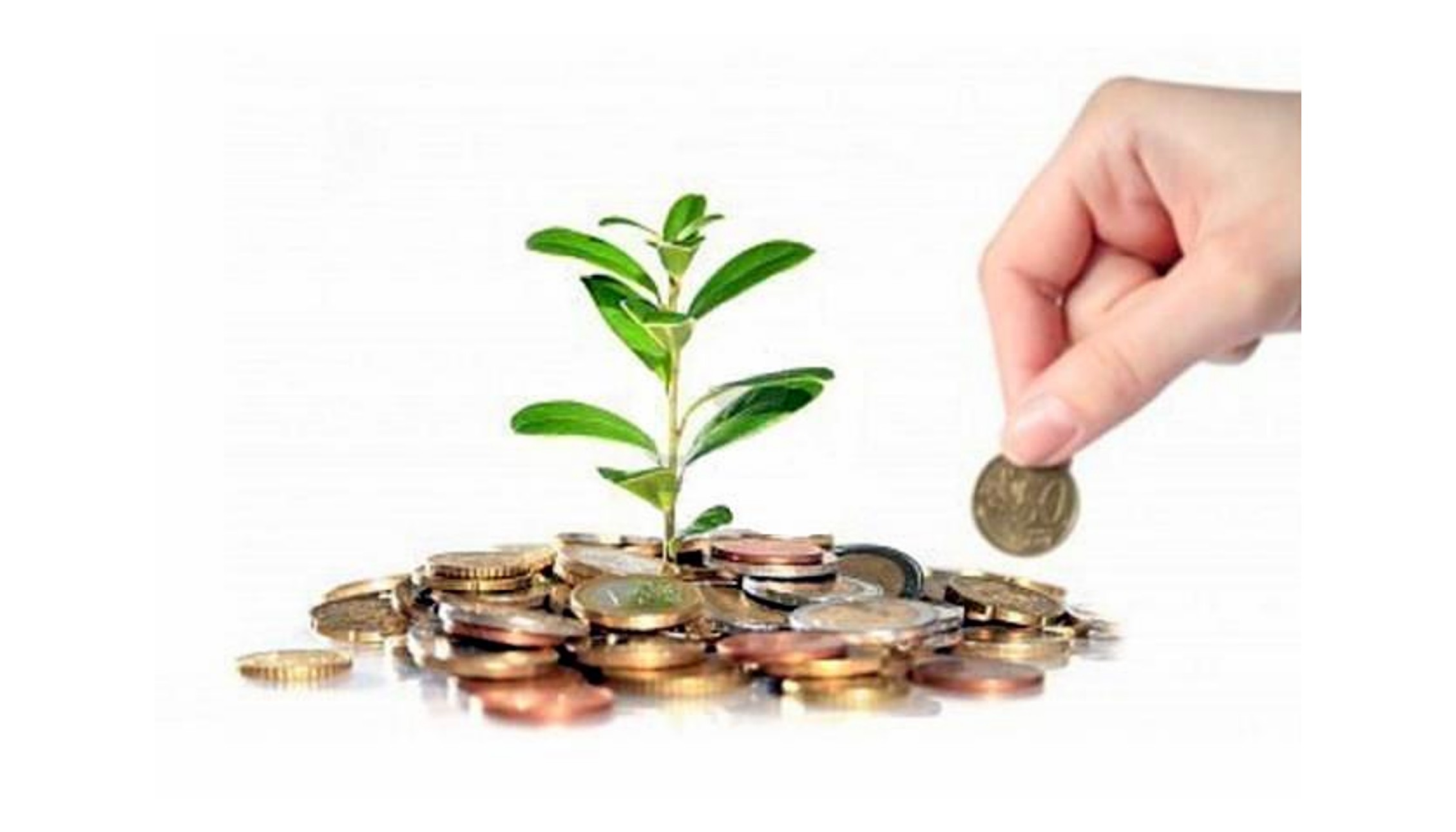 Roma rinnova il microcredito: accordo Campidoglio-Ente nazionale