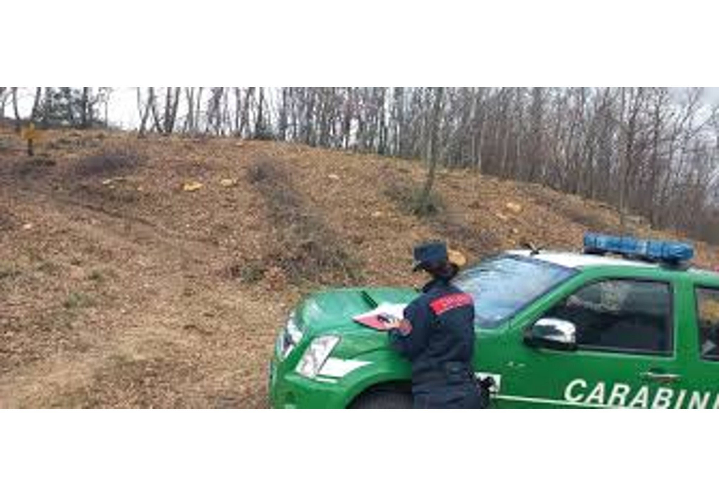 Carabinieri Forestali Lazio: 81mila controlli nel 2025