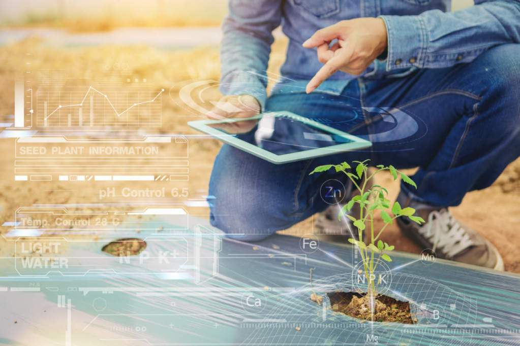 Monterotondo, CREA e periti agrari per la PAC digitale