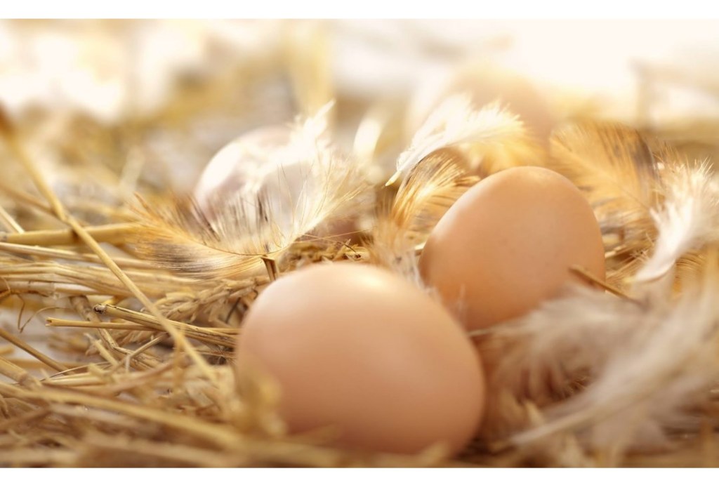 Pasqua, uova +27%: rincari e domanda in crescita