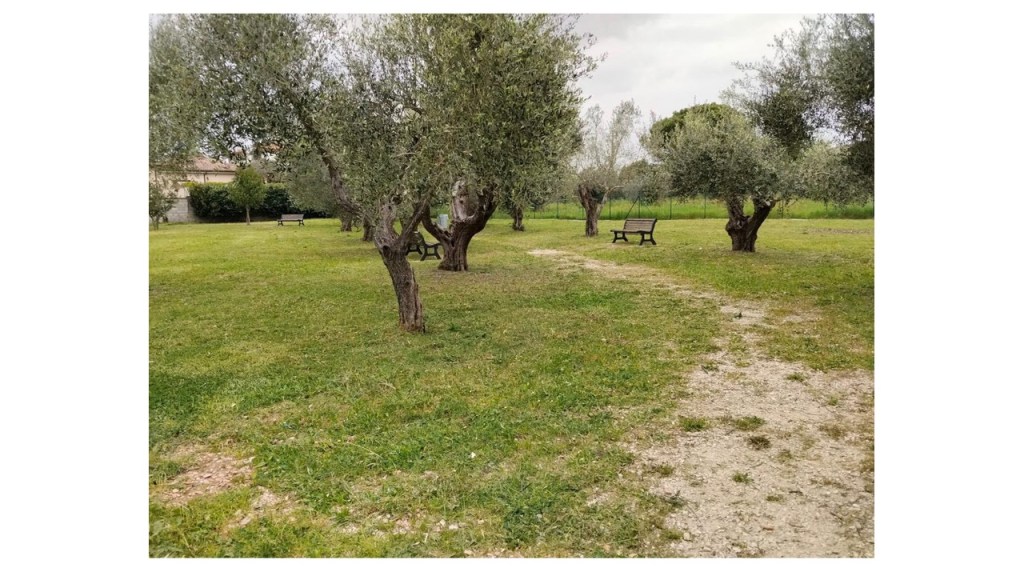 Capena – Al via il taglio del verde pubblico: appello ai cittadini contro degrado e rifiuti