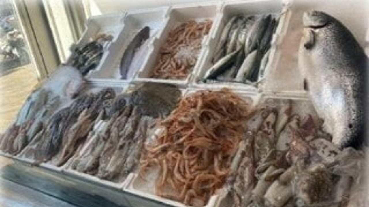 Guidonia, sequestrati 110 kg di pesce e sanzione