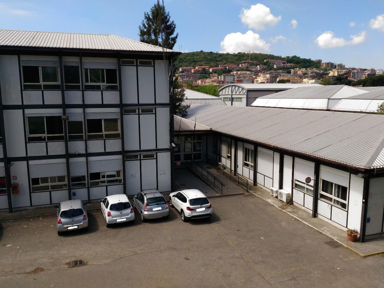 Tivoli, l’IIS Volta protagonista alla RomeCup 2026