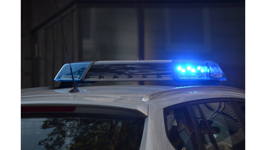 Mentana – Minimarket abusivo chiuso: lavoro nero e gravi carenze igieniche