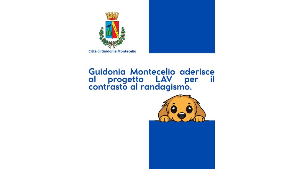 Guidonia Montecelio, accordo con la LAV contro il randagismo: censimento, microchip e sterilizzazioni