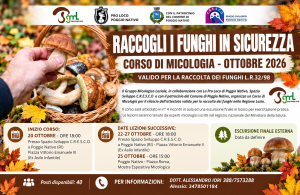 Poggio Nativo, corso di micologia per raccogliere funghi in sicurezza