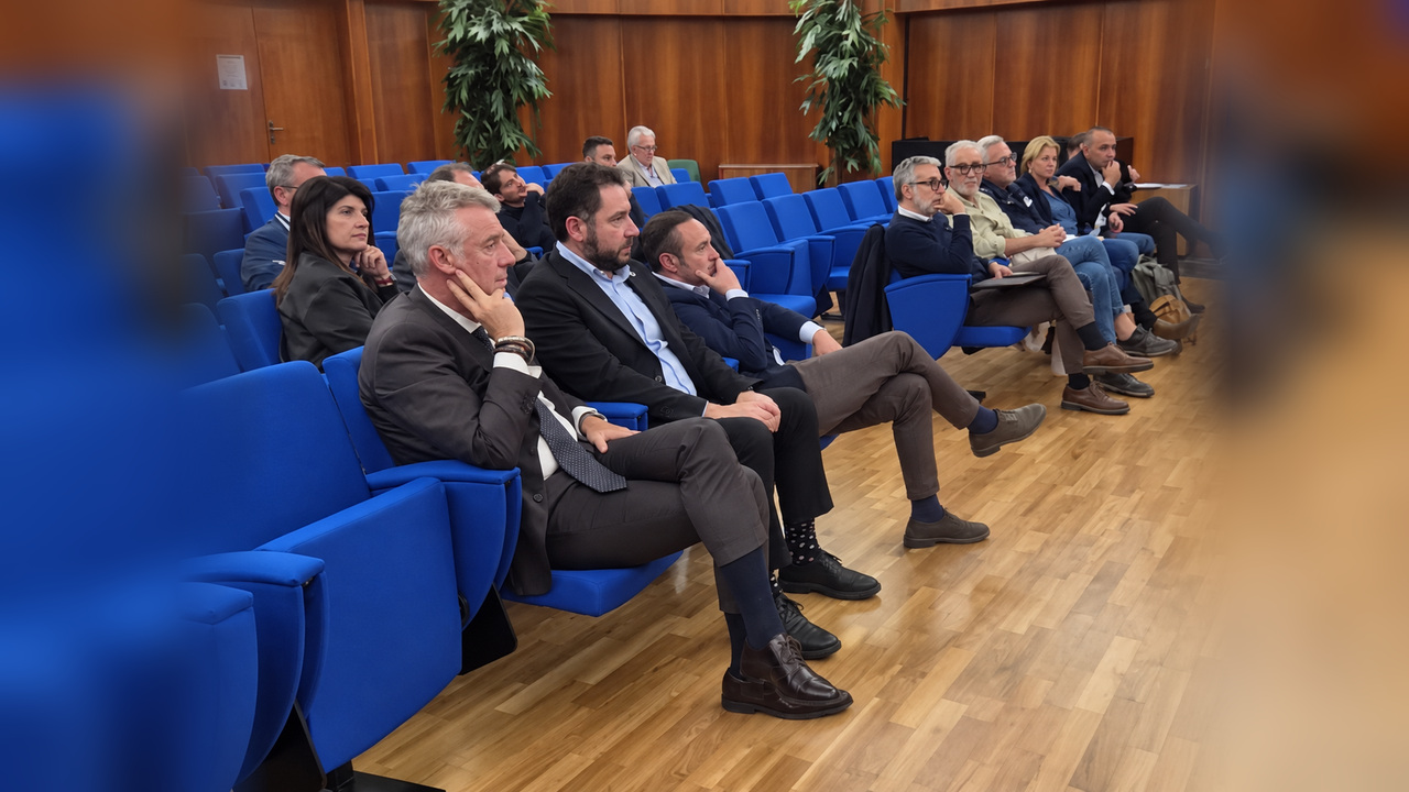 Peste suina africana, Capena: la Regione Lazio conferma il depopolamento dei cinghiali